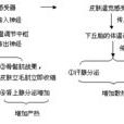 調節機制 調節機制