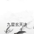 九星玄天決 九星玄天決