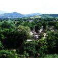 莫卡村 莫卡村