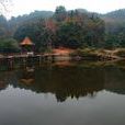 龍泉湖(安遠縣龍泉湖) 龍泉湖(安遠縣龍泉湖)