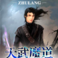 天武魔道 天武魔道