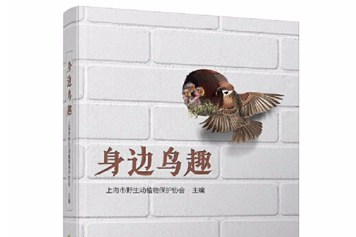 身邊鳥趣 身邊鳥趣