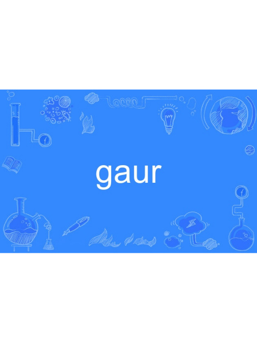 gaur gaur
