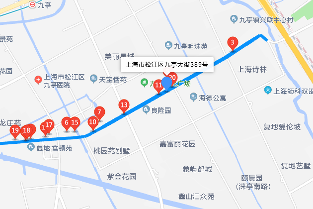 九亭大街389號 九亭大街389號