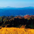 大南山(湖南邵陽市-廣西桂林市的山脈) 大南山(湖南邵陽市-廣西桂林市的山脈)