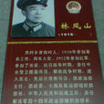 林鳳山(國家海洋局副政委) 林鳳山(國家海洋局副政委)
