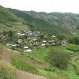白雞山村 白雞山村