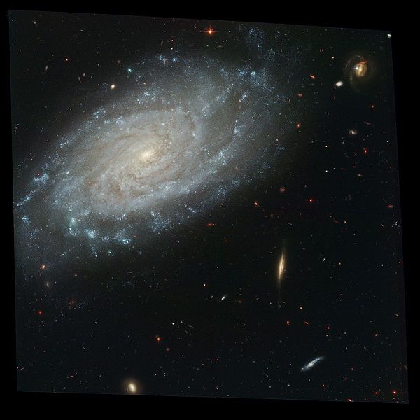 NGC3370 NGC3370
