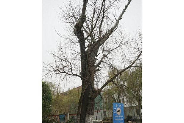 金栗庵遺址 金栗庵遺址