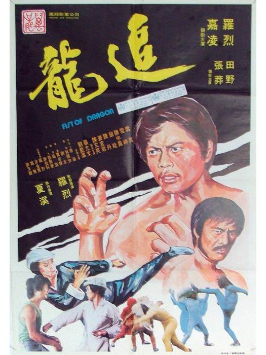 追龍(1978年唐迪、夏溪執導電影)