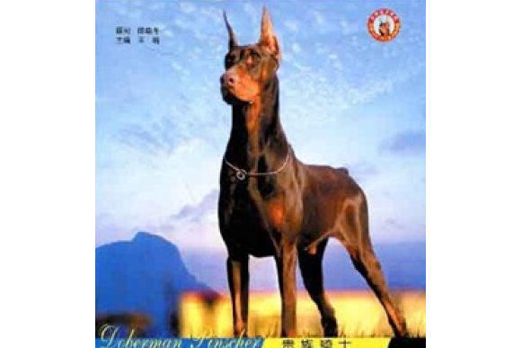 杜賓犬(2008年陝西科學技術出版社出版的圖書) 杜賓犬(2008年陝西科學技術出版社出版的圖書)