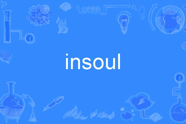insoul insoul