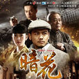 暗花(中國2013年黃健中執導的電視劇) 暗花(中國2013年黃健中執導的電視劇)