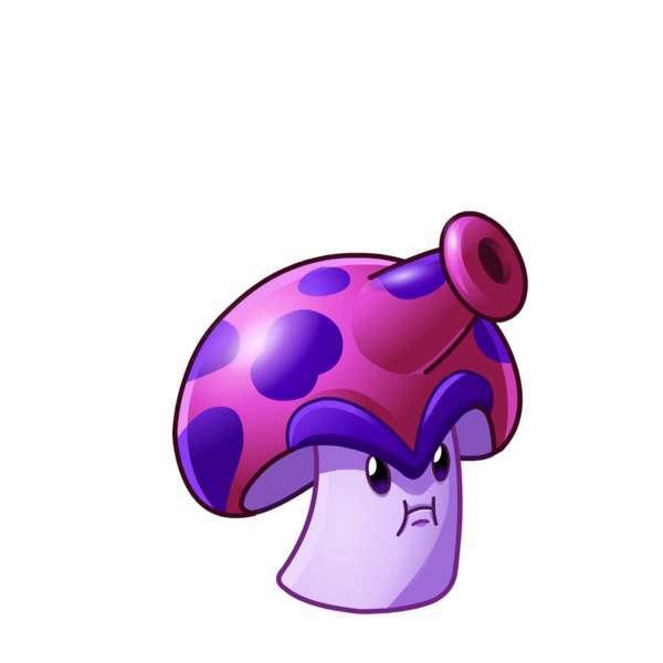 孢子菇 孢子菇