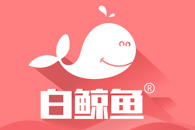 白鯨魚 白鯨魚