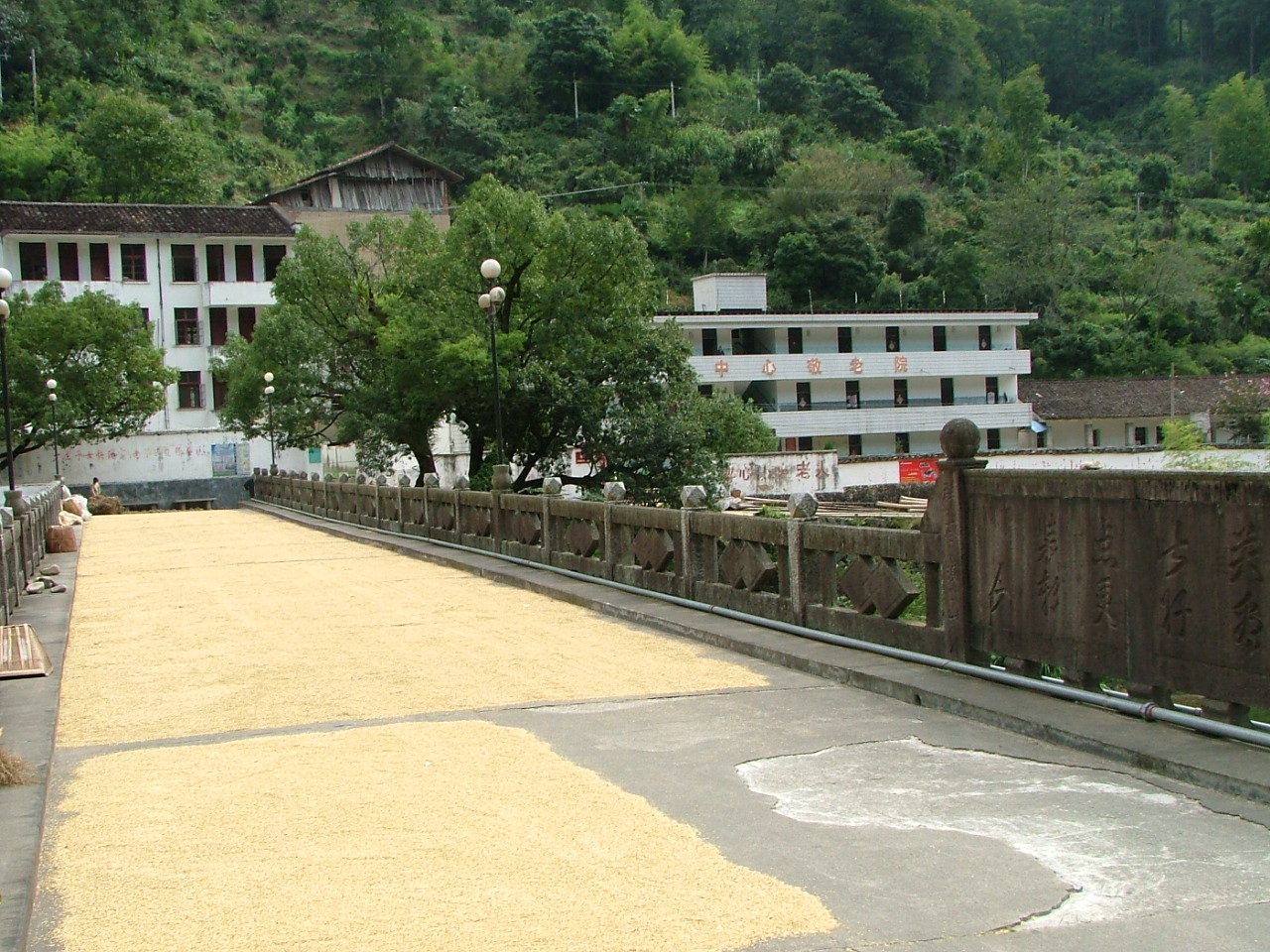 道化村