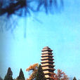 老爺山景區 老爺山景區