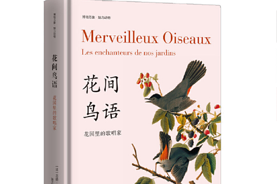 花間鳥語 花間鳥語