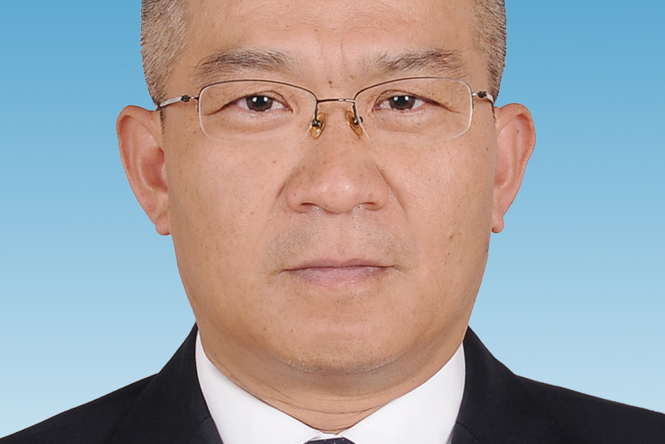 金軍(巍山縣人民政府副縣長) 金軍(巍山縣人民政府副縣長)