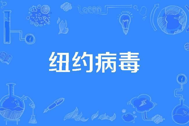 紐約病毒 紐約病毒