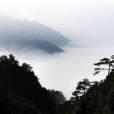 通城藥姑山 通城藥姑山