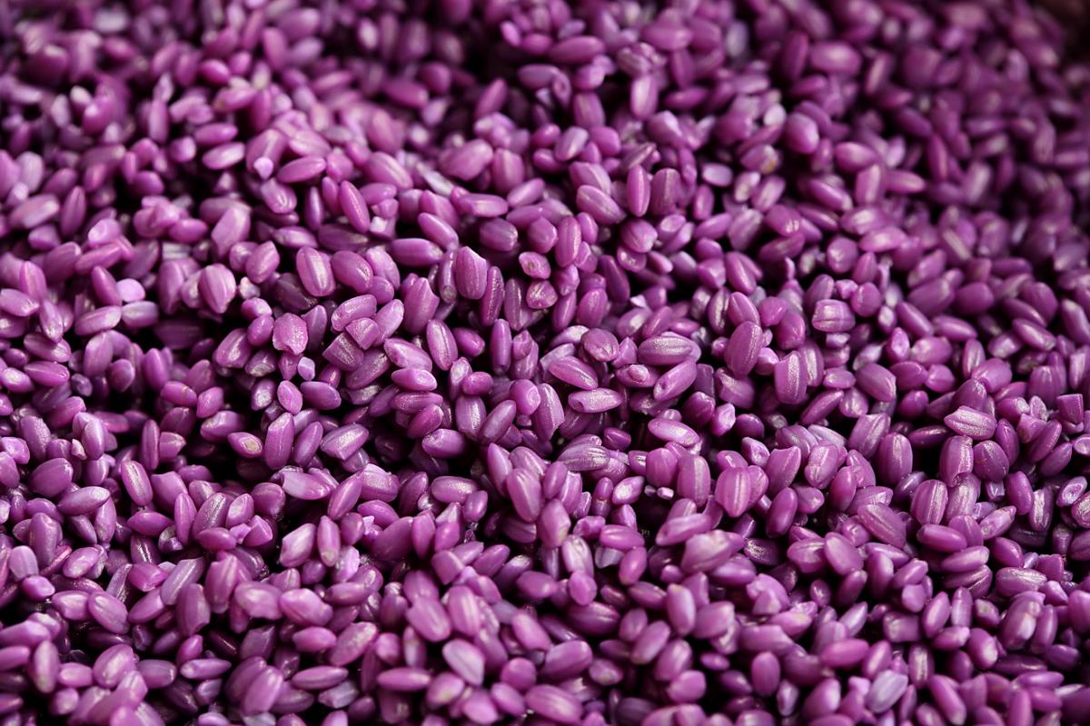 紫紅糯米