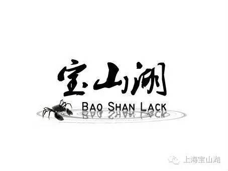 上海寶山湖 上海寶山湖