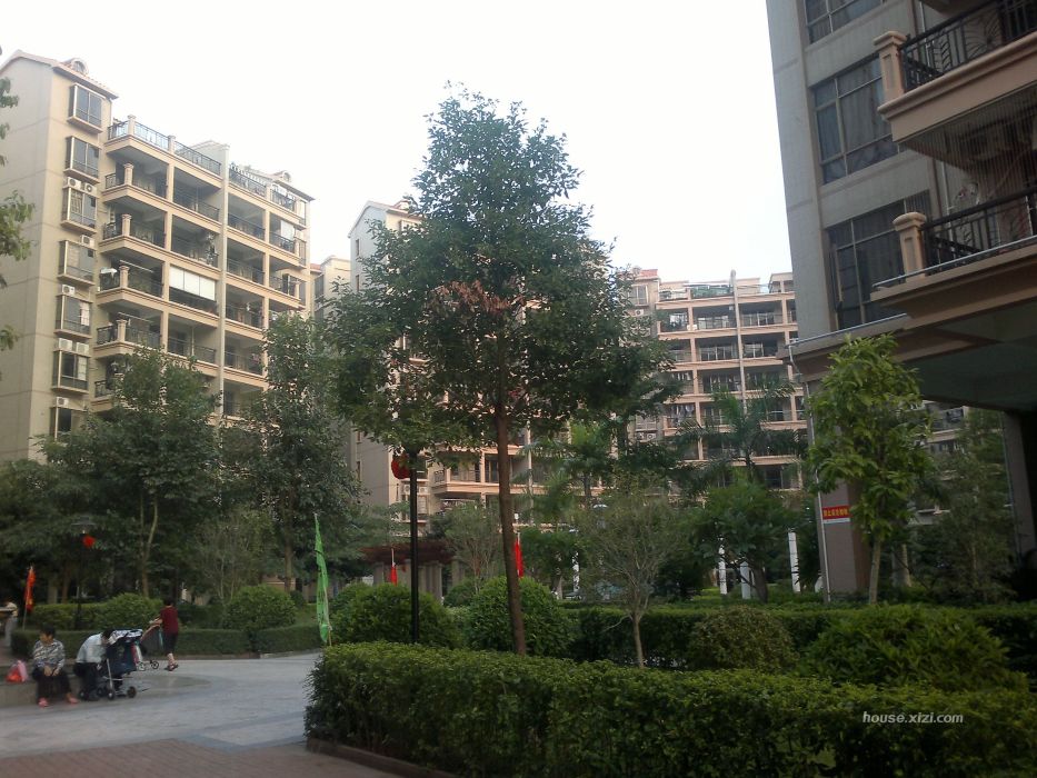 河南岸中學 河南岸中學