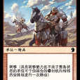 蜀重騎兵 蜀重騎兵