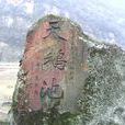 天鵝池
