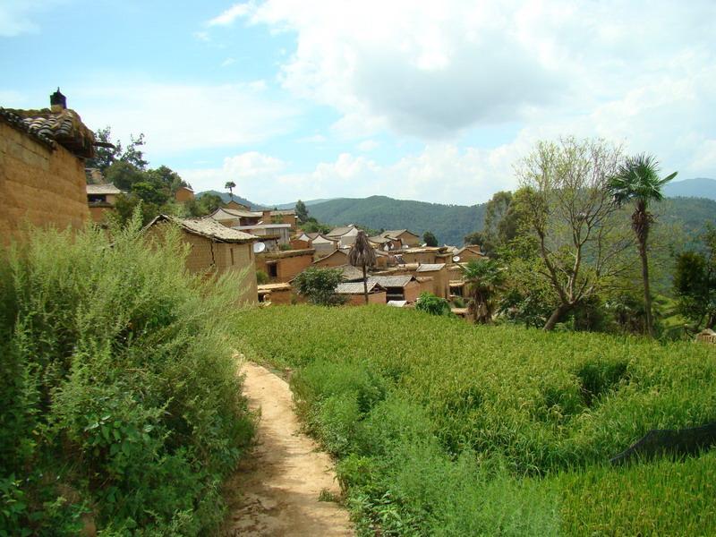 他乍村 他乍村