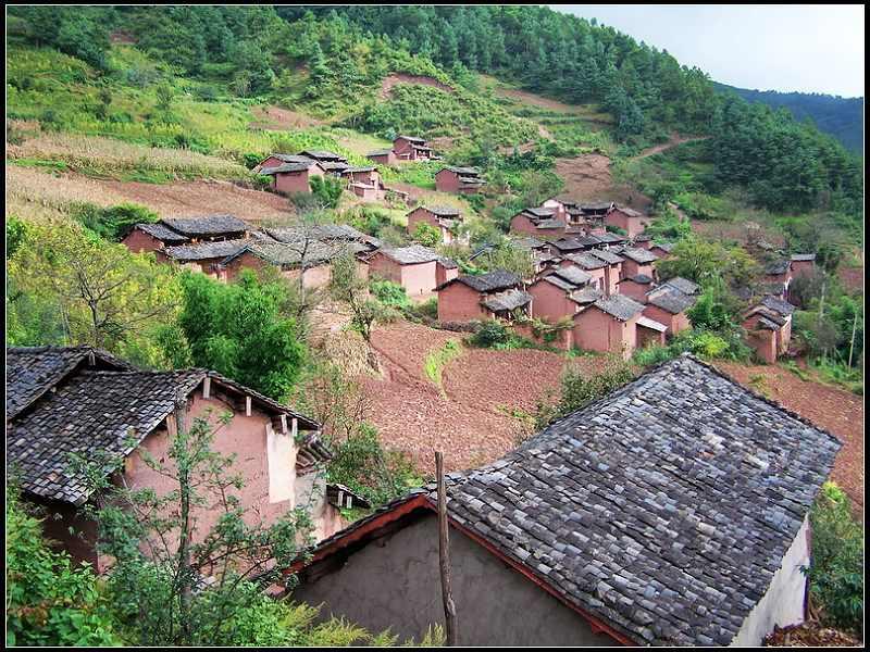 耳美的村 耳美的村