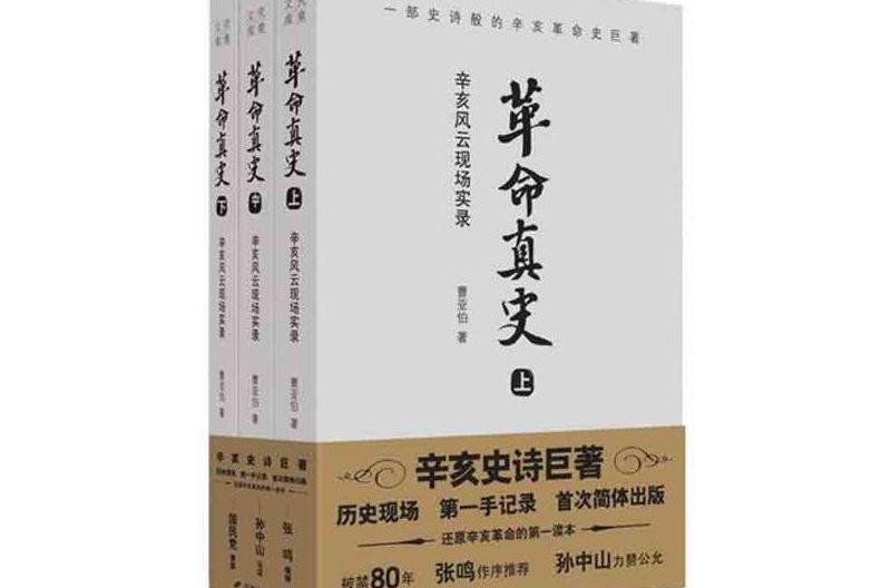 革命真史下 革命真史下
