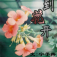 時到花開 時到花開