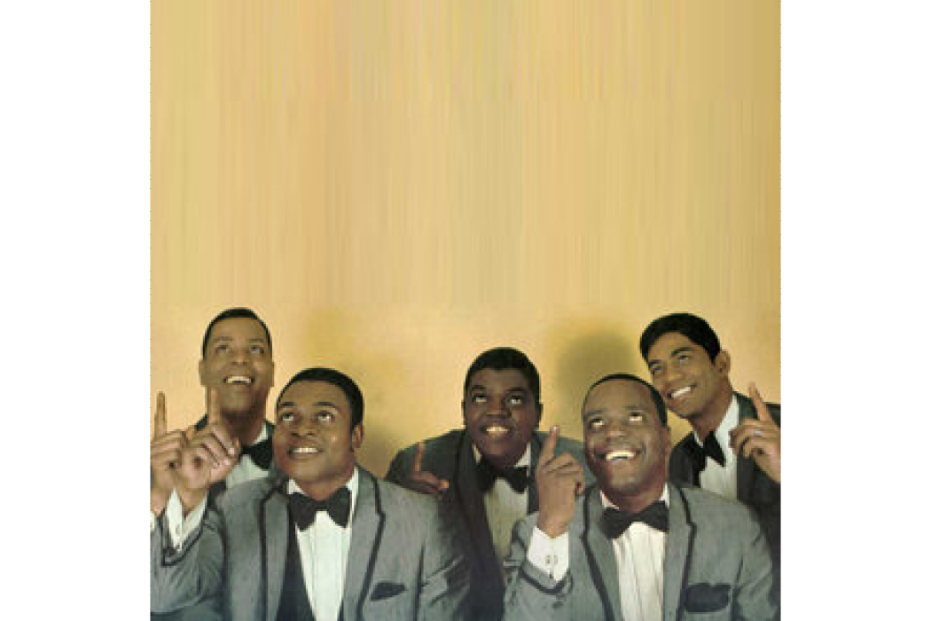 The Vibrations The Vibrations