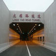 龍耀路隧道 龍耀路隧道