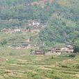 山火頭村 山火頭村