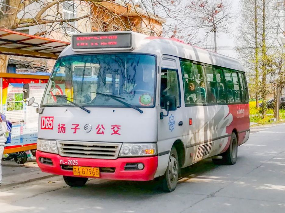 南京公交D65路 南京公交D65路
