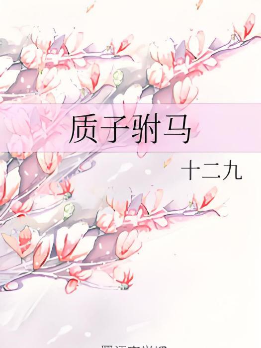 質子駙馬 質子駙馬