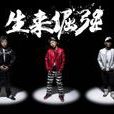 特種部隊(南征北戰演唱歌曲) 特種部隊(南征北戰演唱歌曲)