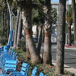 45 Croisette Immobilier - Le Minerve 45 Croisette Immobilier - Le Minerve