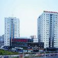 望京大廈 望京大廈