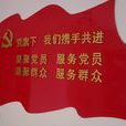 黨的組織生活(組織生活) 黨的組織生活(組織生活)