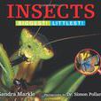 Insects Insects