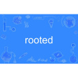 rooted rooted