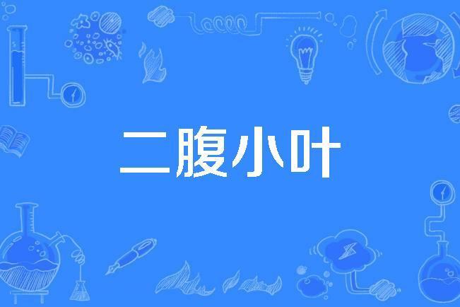 二腹小葉