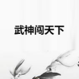 武神闖天下 武神闖天下