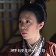 玳瑁(電視劇《羋月傳》中角色) 玳瑁(電視劇《羋月傳》中角色)
