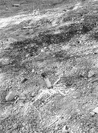 日本老兵在失蹤石碑處祭奠遇難者時留下的香