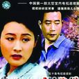 劉慧芳(電視劇《渴望》女主人公) 劉慧芳(電視劇《渴望》女主人公)